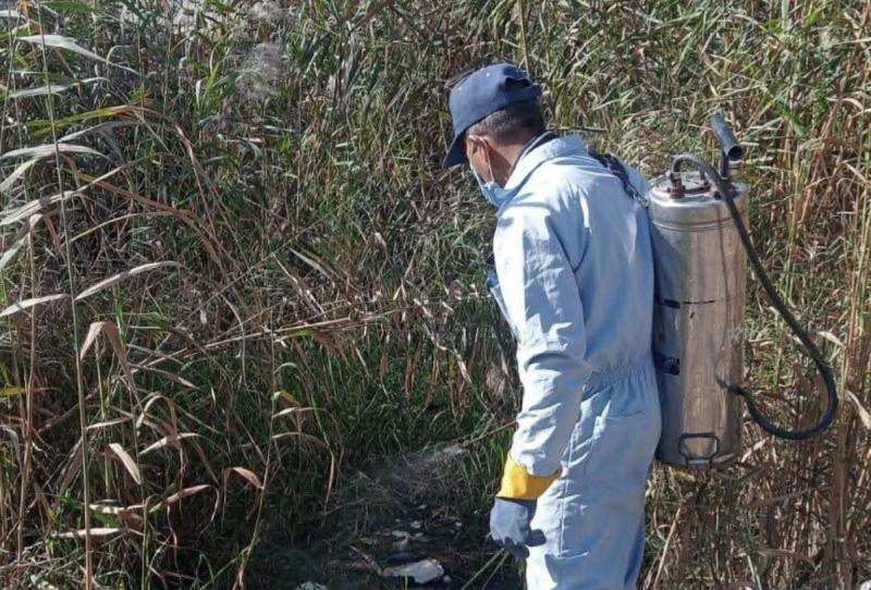 صحة البحيره | تكثيف أعمال المكافحة لناقلات الأمراض المعدية على مستوى المحافظة