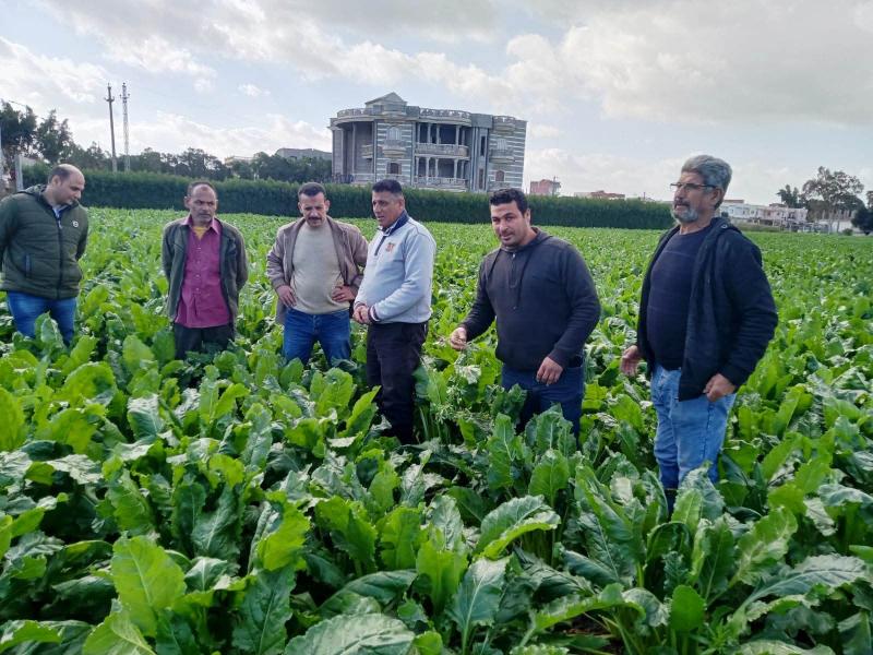 زراعة البحيرة تنفذ ندوات إرشادية بمركزى الدلنجات وحوش عيسى للنهوض بمحصول ببنجر السكر