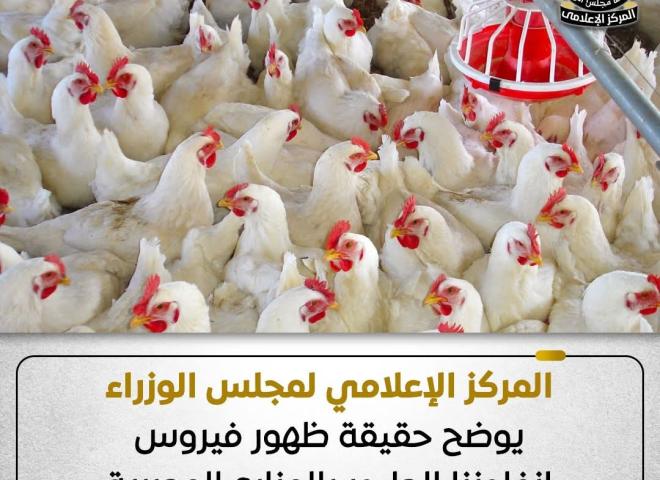 المركز الإعلامي لمجلس الوزراء يوضح حقيقة ظهور فيروس إنفلونزا الطيور بالمزارع المصرية