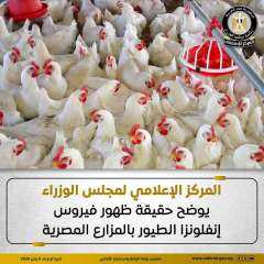 المركز الإعلامي لمجلس الوزراء يوضح حقيقة ظهور فيروس إنفلونزا الطيور بالمزارع المصرية