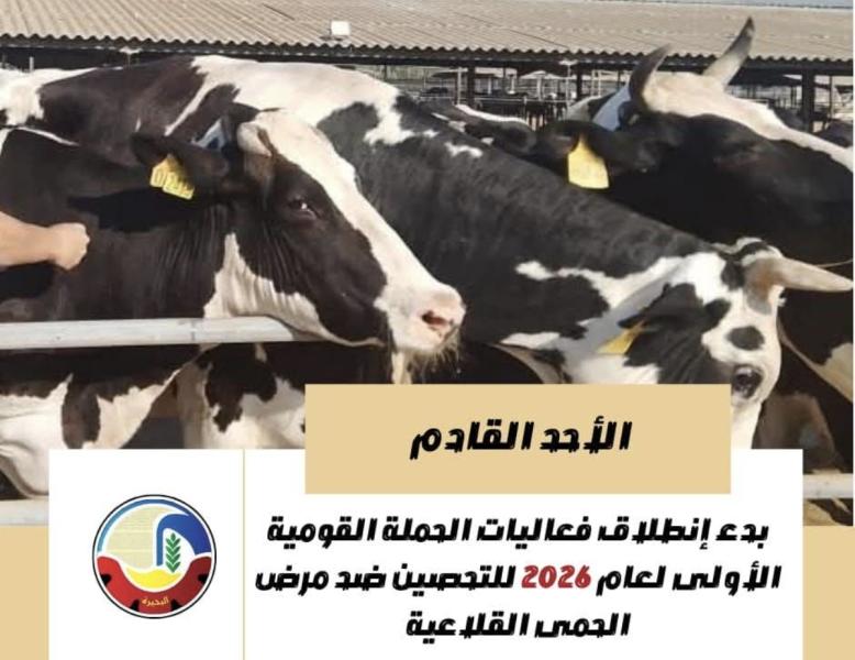 الأحد القادم .. بدء إنطلاق فعاليات الحملة القومية الأولى لعام ٢٠٢٦ للتحصين ضد مرض الحمى القلاعية