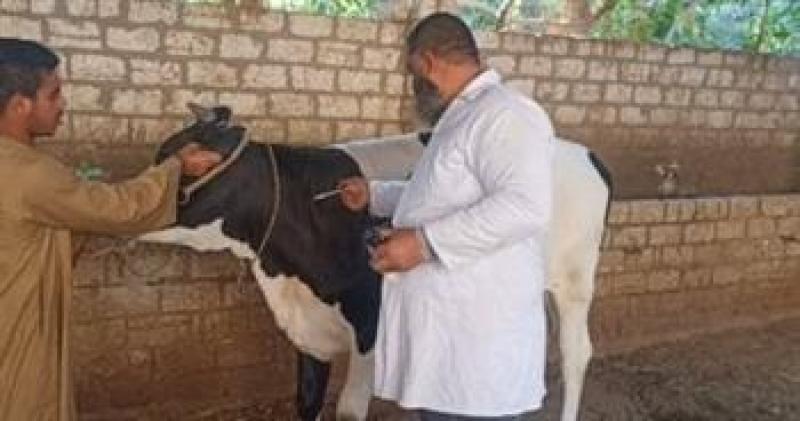 «الزراعة» تطلق حملة استثنائية لتحصين الثروة الحيوانية ضد الحمى القلاعية والوادي المتصدع