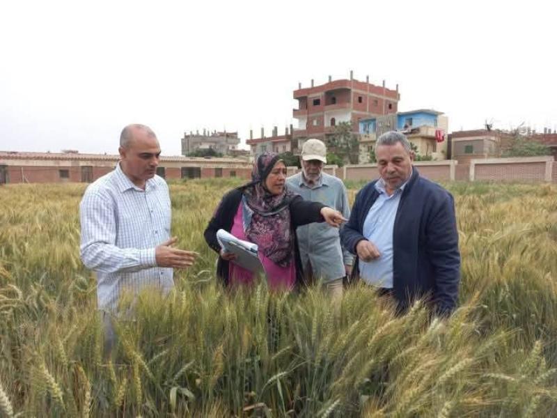 الزراعة” تستعرض الجهود والأنشطة البحثية ل”أمراض النباتات” خلال 2025:  179 بحثاً و 42 ابتكار