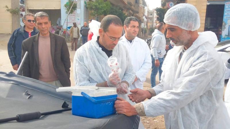 إستجابة فورية لتوجيهات محافظ البحيرة ...   حملة عاجلة للتعقيم ولتطعيم الكلاب الضالة ضد مرض السعار برشيد