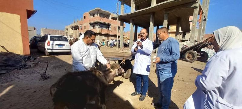 ”الزراعة”: 2900 قافلة بيطرية مجانية لخدمة 2600 قرية خلال 2025 : فحص وعلاج أكثر من 1.7 مليون رأس ماشية وطائر ضمن القوافل البيطرية في عام