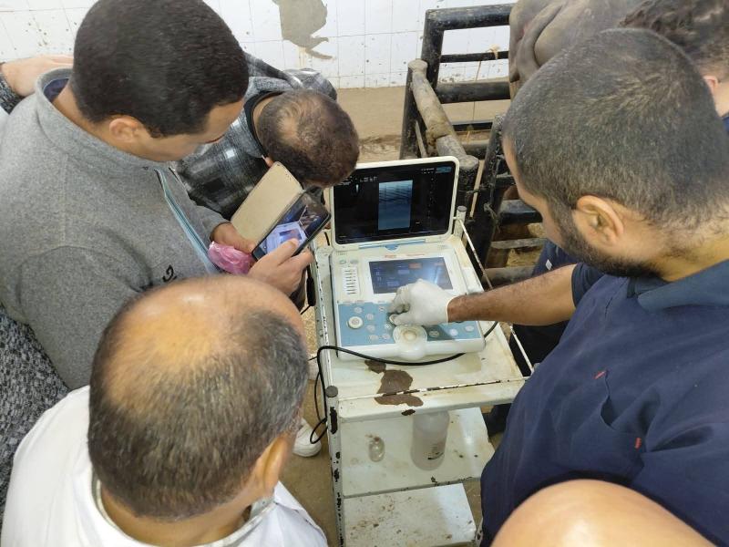 ”الزراعة” تطلق برنامجاً تدريبيا لتنمية مهارات الأطباء البيطريين على تقنيات السونار الحديثة