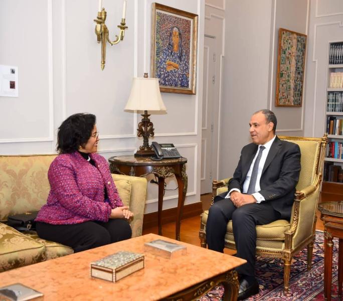 - وزير الخارجية يبحث مع المديرة التنفيذية للنيباد سبل تعزيز التعاون التنموي في أفريقيا