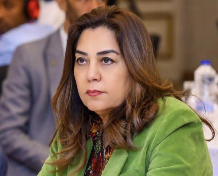وزيرة التنمية المحلية: مرور ميداني للجنة الحوكمة والمحال العامة بالوزارة على عدد من أحياء ومراكز القاهرة والجيزة والقليوبية