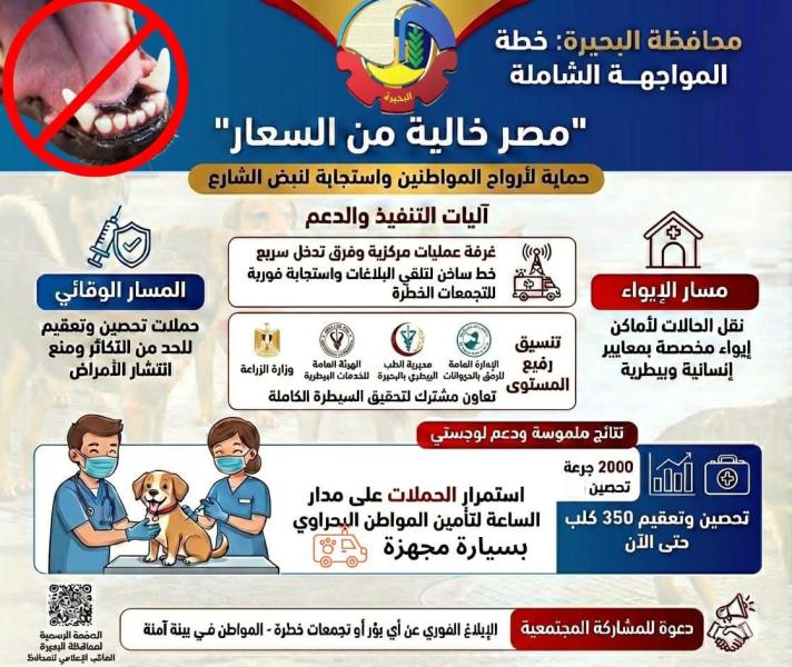 بالإنفوجراف .. محافظة البحيرة تعلن تفاصيل خطة المواجهة الشاملة للكلاب الضالة لحماية سلامة وأرواح المواطنين
