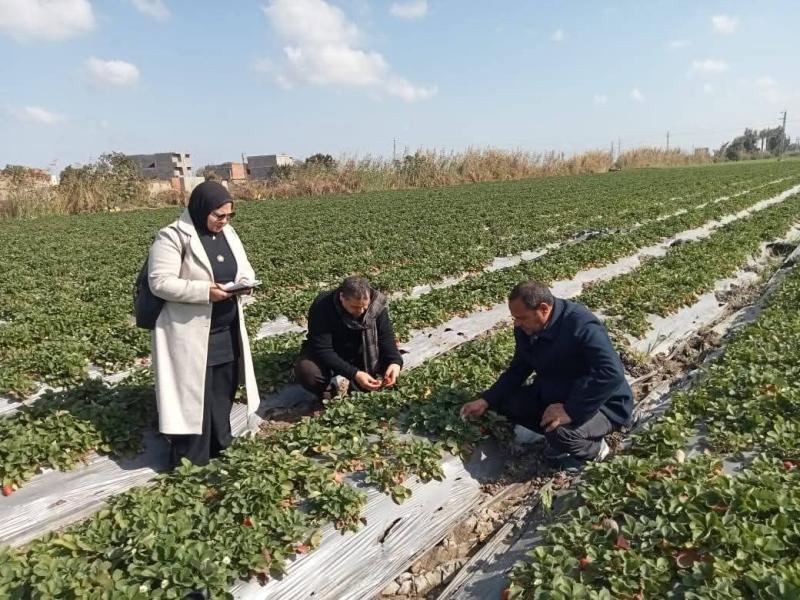 مرور إدارة المكافحة البستانية على زراعات الفاكهة والخضر بالإدارة الزراعية بالدلنجات
