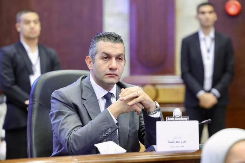 النائب_عمرو_الشلمة : قمة السيسي وترامب تؤكد استعادة مصر لمكانتها الدولية