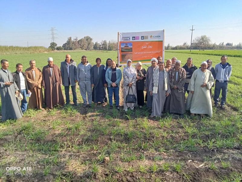 نشاط مكثف اللإرشاد الزراعى بالبحيرة خلال أسبوع