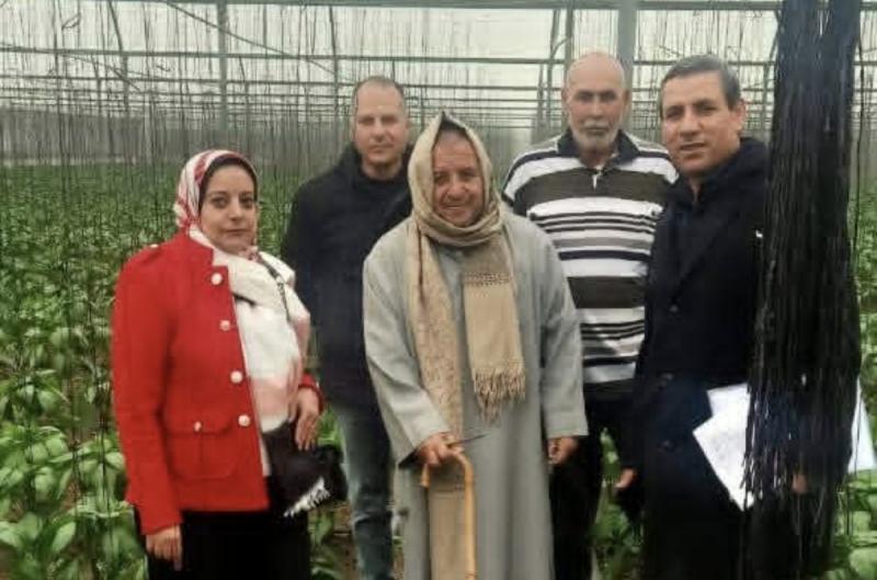 زراعة البحيرة.. المرور على مشاتل الخضر بالبستان لمتابعة التراخيص