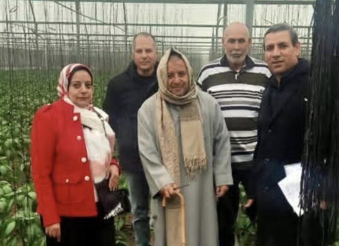 زراعة البحيرة.. المرور على مشاتل الخضر بالبستان لمتابعة التراخيص