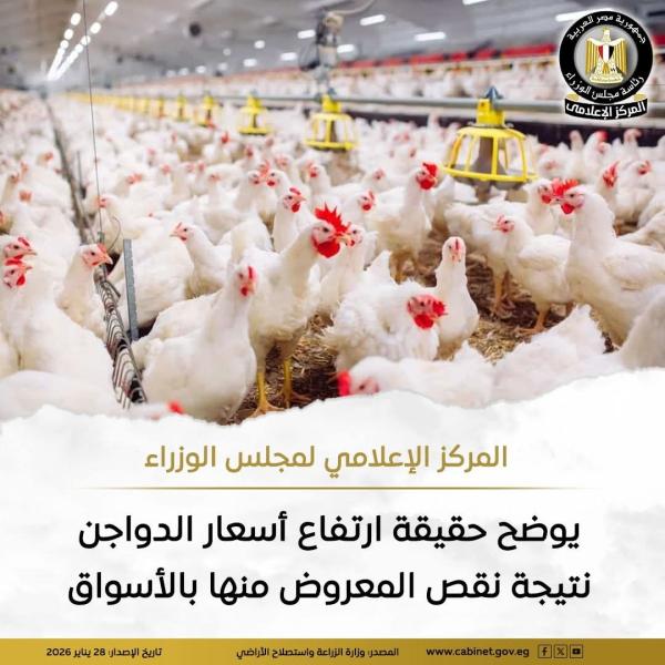المركز الإعلامي لمجلس الوزراء يوضح حقيقة ارتفاع أسعار الدواجن نتيجة نقص المعروض منها بالأسواق