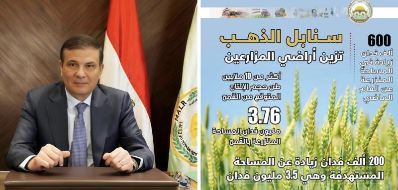 وزارة الزراعة تعلن تجاوز المستهدف من المساحات المنزرعة بالقمح خلال الموسم الحالي: زراعة 3.76 مليون فدان بالمحصول