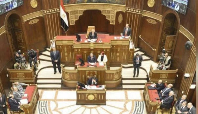 مناقشة مجلس الشيوخ طلبي مناقشة عامة الجلسة تعقد برئاسة المستشار عصام فريد