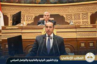 السيد الرئيس أول من أثار هذه القضية ووجه بمعالجتها.. إيضاحات المستشار محمود فوزي بشأن سياسة الحكومة لحماية الأطفال من مخاطر الإنترنت أمام مجلس الشيوخ