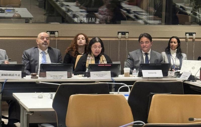 نائبة وزيرة التضامن الاجتماعي تشارك في فعاليات الحدث الجانبي رفيع المستوى تحت عنوان ”نحو تنمية اجتماعية شاملة في إطار من العدالة الاجتماعية” بنيويورك