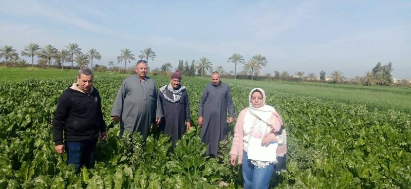 متابعة حدائق الاستهلاك الشخصى بأبو حمص