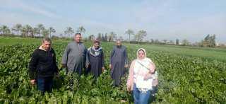 متابعة حدائق الاستهلاك الشخصى بأبو حمص