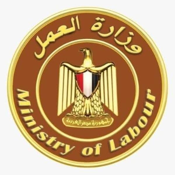 وزارة العمل: القرار الوزاري 289 لسنة 2025 ملتزم بالقانون 133 ومكمّل لمنظومة تطبيق قانون العمل الجديد