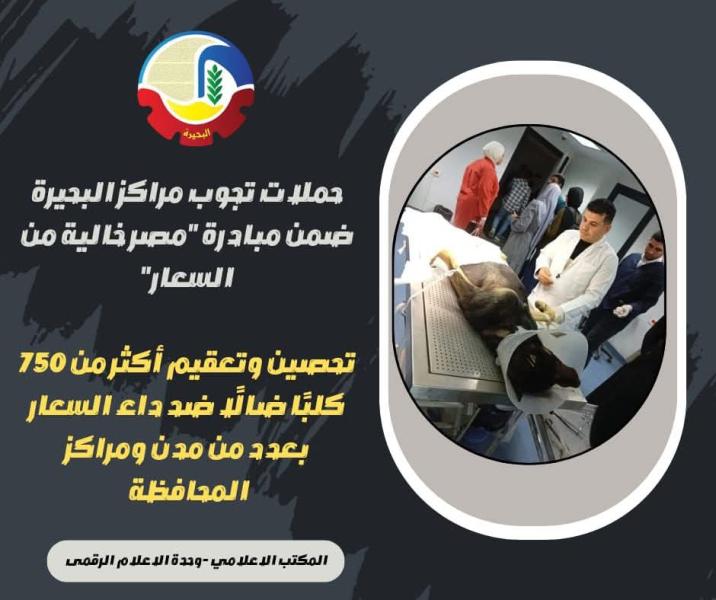 حملات تجوب مراكز البحيرة ضمن مبادرة ”مصر خالية من السعار”
