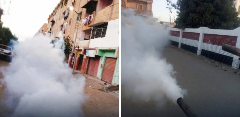 صحة البحيرة.. تكثيف أعمال المكافحة لناقلات الأمراض المعدية على مستوى المحافظة