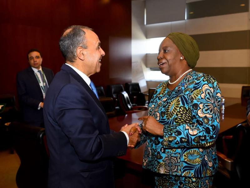 وزير الخارجية يبحث مع الأمين العام للكوميسا سبل تعزيز التكامل الاقتصادي