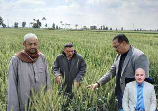 زراعة ايتاى البارود تتابع زراعات القمح للاطمئنان على المحصول