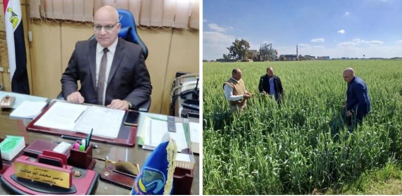 مكافحة البحيرة تتفقد محصولى القمح والبنجر وتوصى بسرعة العلاج فى حالة ظهور أية إصابات