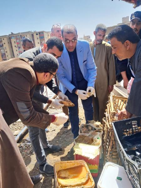 الشبح يقود حملة مكبرة ويضبط 160 كيلو من الأسماك واللحوم غير صالحة قبل العيد بسوهاج