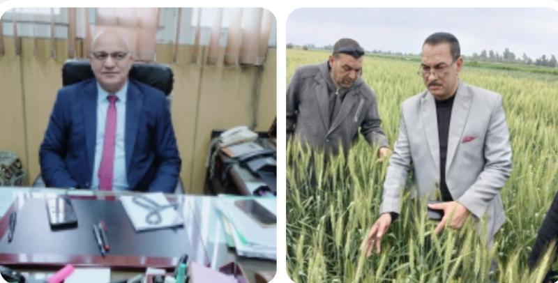 مدير إدارة ايتاى البارود الزراعية يتفقد حالة محصول القمح بجمعية ارمانيا