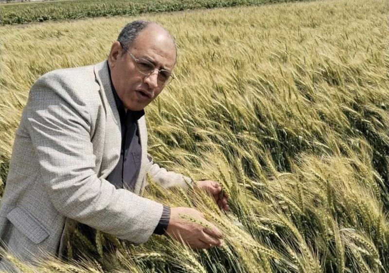 أول أيام_عيدالفطرالمبارك .. جولة ميدانية لمدير مديرية الزراعة ببورسعيد