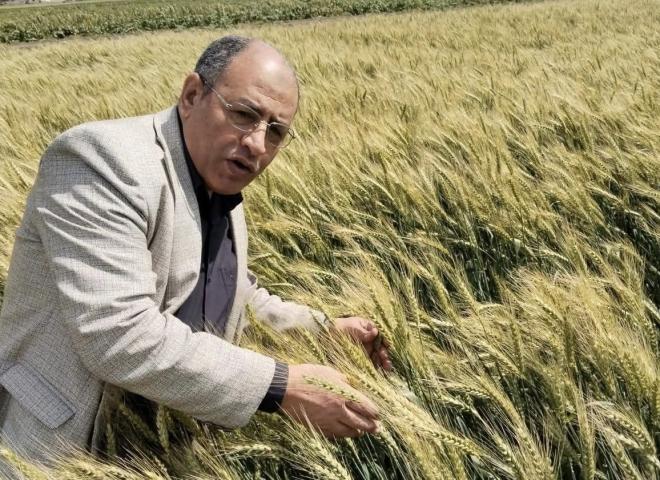 أول أيام_عيدالفطرالمبارك .. جولة ميدانية لمدير مديرية الزراعة ببورسعيد