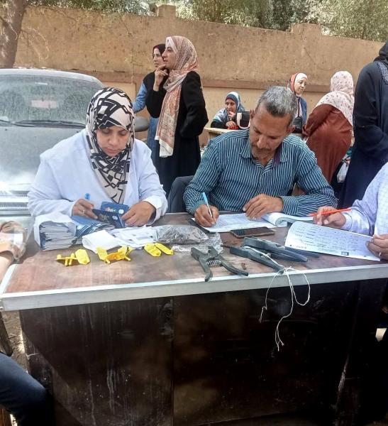 محافظ سوهاج :تسليم 298 رأس أغنام للأسر الأكثر احتياجا بمركزى المراغة وساقلتة