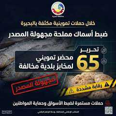 تموين البحيرة.. ضبط كمية من الأسماك المملحة مجهولة المصدر  وتحرير ٦٥ محضر تمويني لمخابز بلدية مخالفة