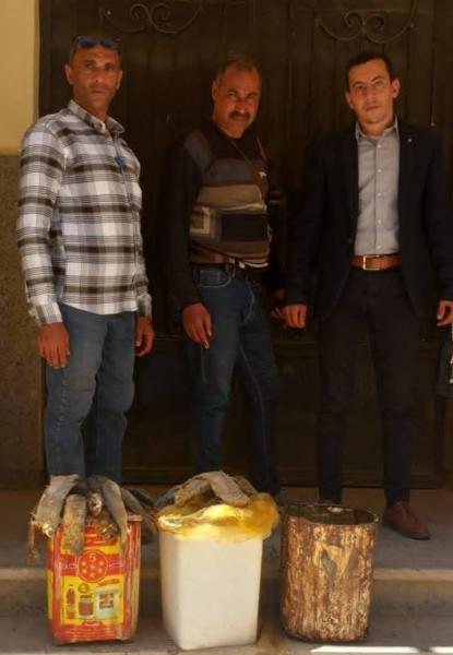 تحرير 509 مخالفات تموينية بسوهاج خلال حملات مكبرة على الأسواق والمخابز وضبط سلع غذائية مجهولة المصدر