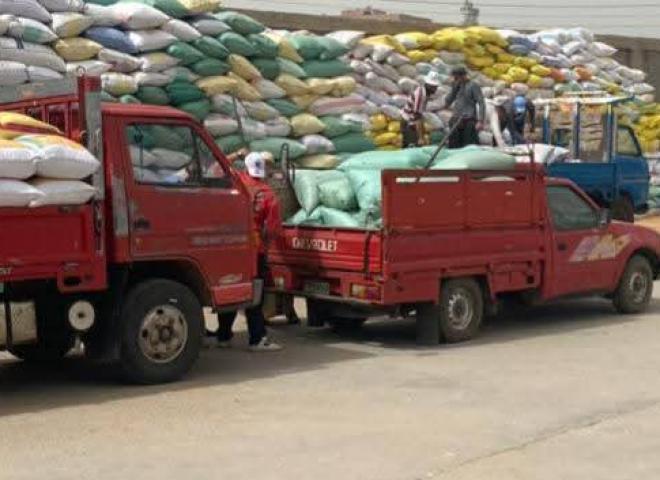 إنتظام توريد القمح بالبحيرة في ثالث أيام الموسم ...   إستلام أكثر من ٤٠٩ طن حتى صباح اليوم عبر ٣٩ موقعاً معتمداً