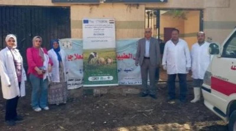 فحص وعلاج 500 رأس ماشية بالمجان في قافلة بيطرية بمركز طما