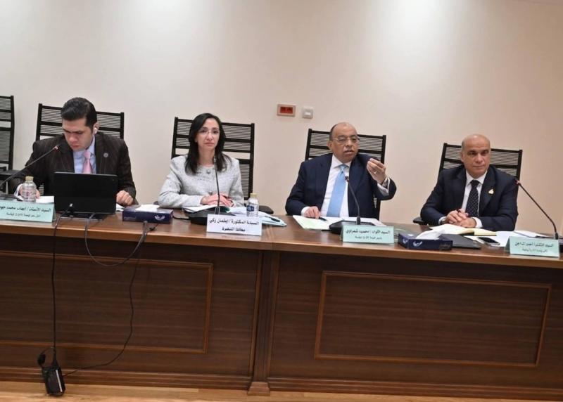 محافظ البحيرة تشارك فى أعمال لجنة الإدارة المحلية بمجلس النواب وتستعرض جهود المحافظة لتحسين جودة الخدمات المقدمة للمواطنين