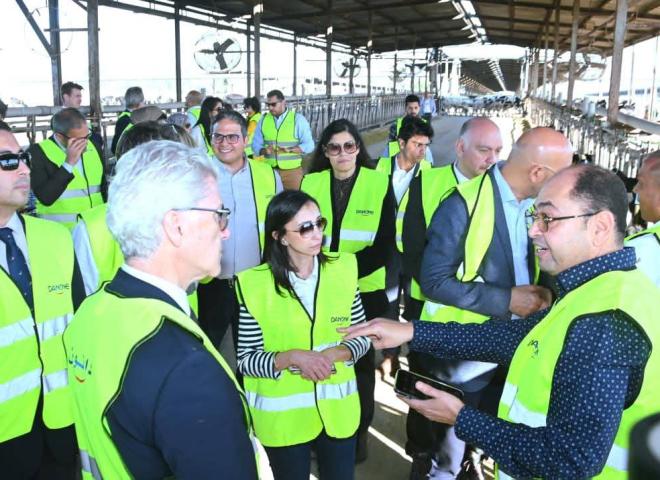 محافظ البحيرة ووفد الإتحاد الأوروبي فى زيارة لمزرعة “دانون” بأبو المطامير