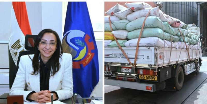 البحيرة تعزز مخزونها الإستراتيجي من القمح ..  توريد ٢٩٥٧ طن وسط إنتظام ملحوظ للمنظومة