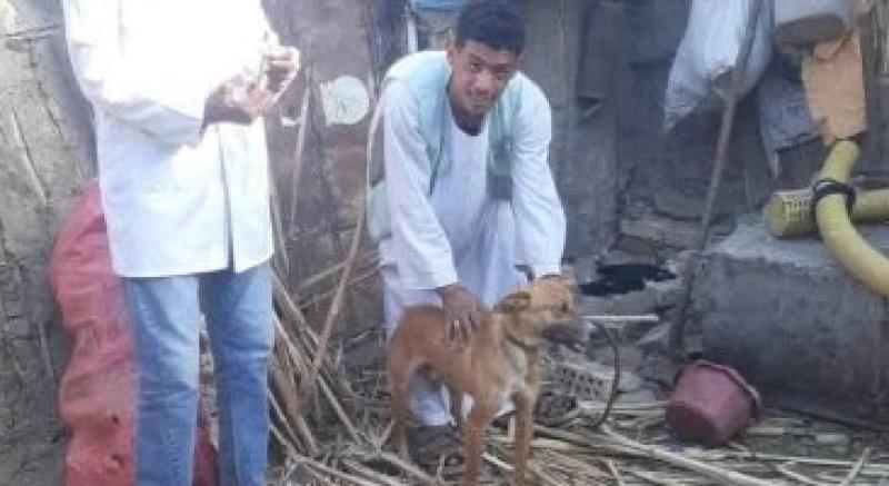 بيطرى سوهاج :تحصين كلاب ضد السعار بحى شرق ضمن خطة السيطرة على الحيوانات الضالة