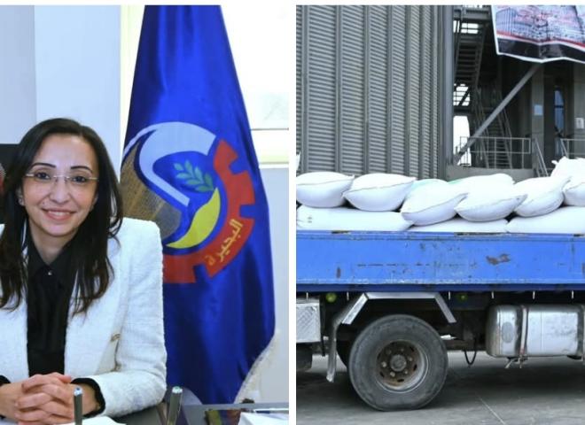 من الحقول إلى الصوامع ..  توريد ٣٨٨٤ طن قمح بالبحيرة حتى صباح اليوم  إنتظام كامل بمنظومة الإستلام وتيسيرات مستمرة للمزارعين