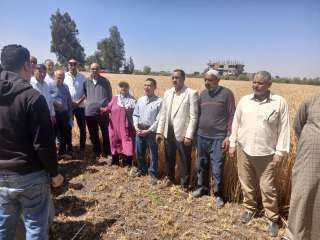 زراعة البحيرة تنفذ يوم حصاد لمحصول القمح بكفر الحاجه بمركز ايتاى البارود