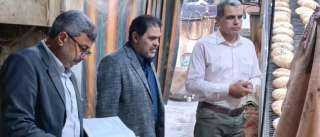 تحرير عدد (5) تقارير متنوعة ضد مخابز بلدية لوجود مخالفات تموينية بالبحيرة