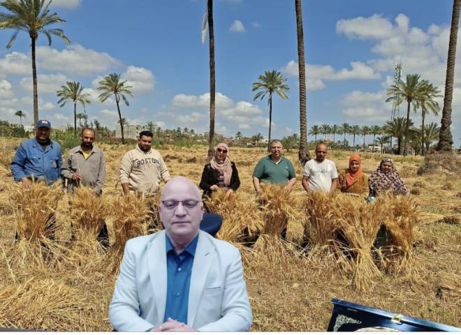 الإرشاد الزراعى بالبحيرة ينظم يوم حصاد لمحصول القمح بالمدارس الحقلية