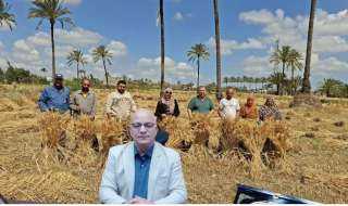 الإرشاد الزراعى بالبحيرة ينظم يوم حصاد لمحصول القمح بالمدارس الحقلية