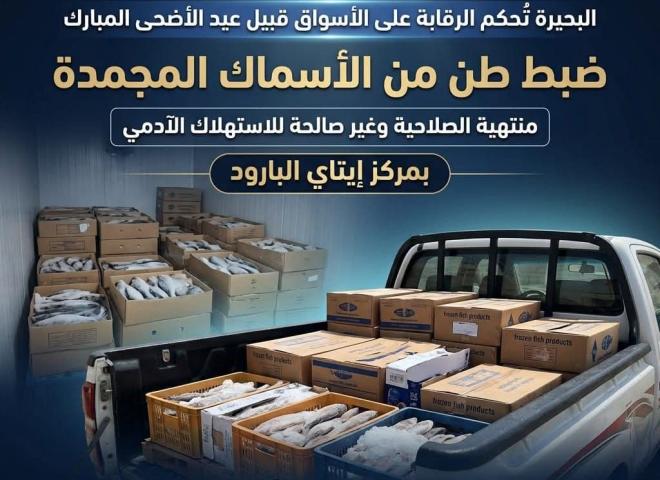 ضبط طن من الأسماك المجمدة منتهية الصلاحية وغير صالحة للإستهلاك الآدمي قبل تداولها بالأسواق بمركز إيتاي البارود